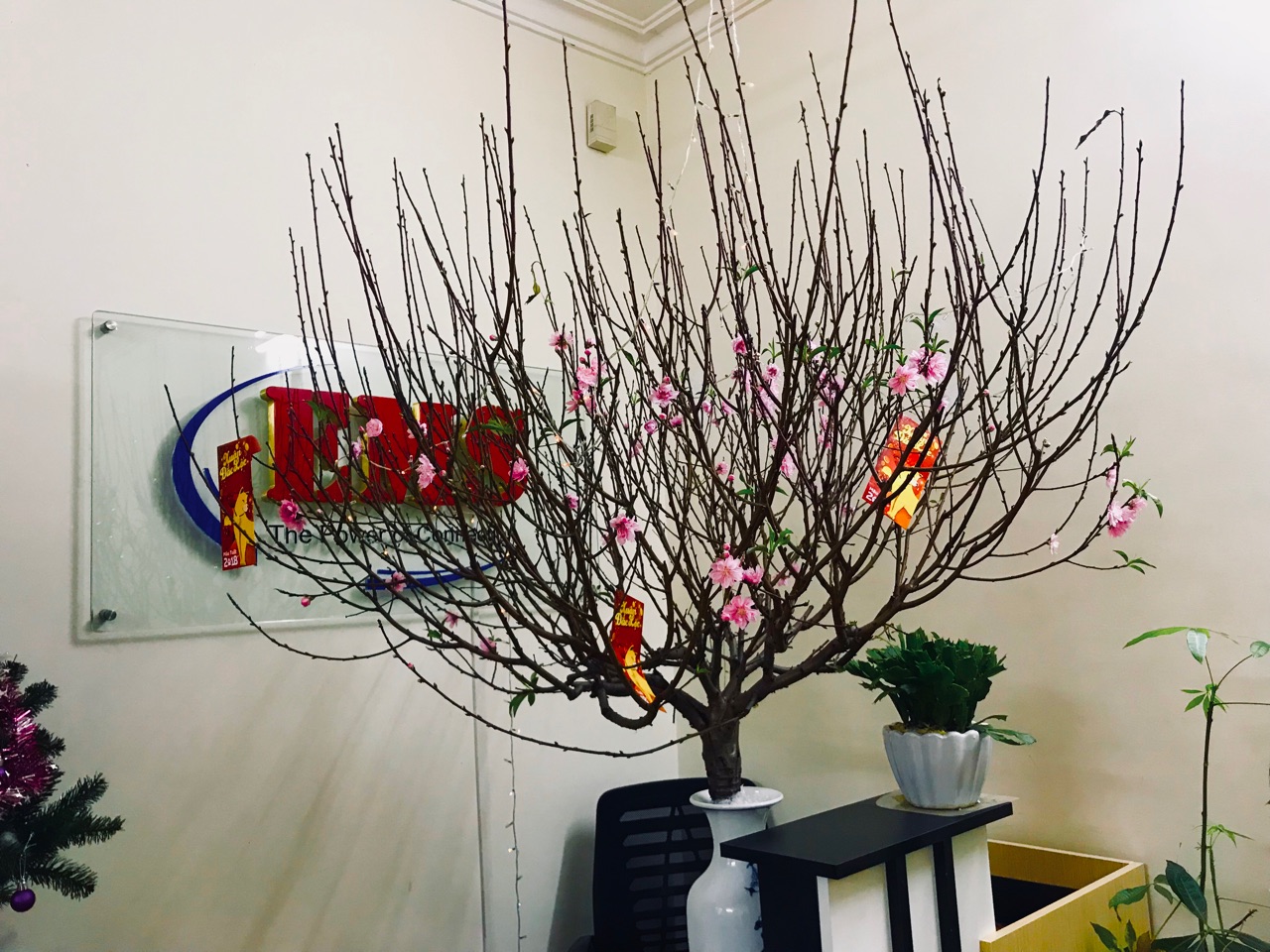 THƯ CHÚC MỪNG NĂM MỚI XUÂN MẬU TUẤT 2018 VÀ THÔNG BÁO LỊCH NGHỈ TẾT NGUYÊN ĐÁN